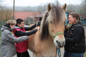 Christina Mausolff (r.) zeigte ihren Schülerinnen, wie ein Pferd fachgerecht vermessen wird.